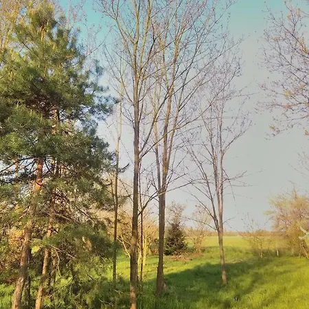 Rust Aan De Es Boom * Hollad